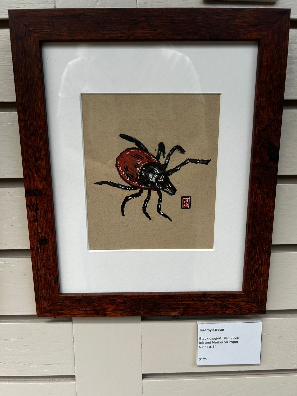 Black-Legged Tick Black-Legged Tick
