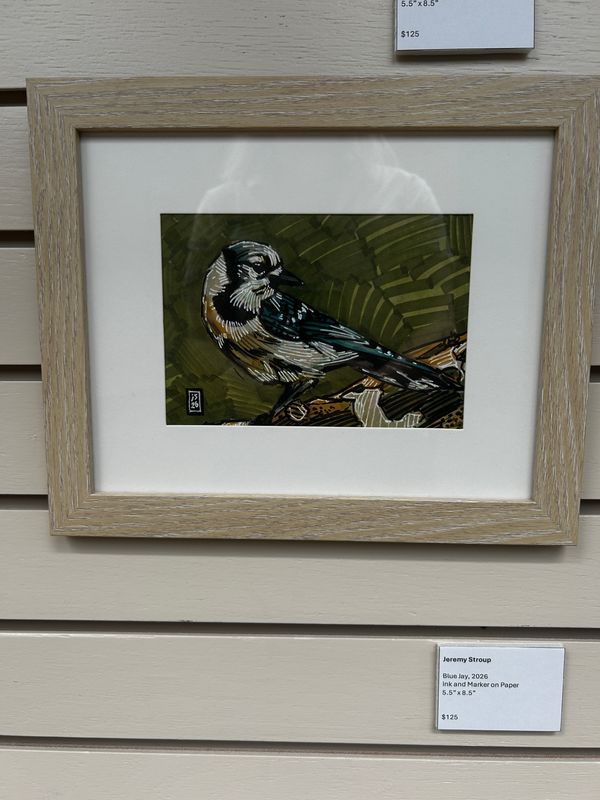Blue Jay