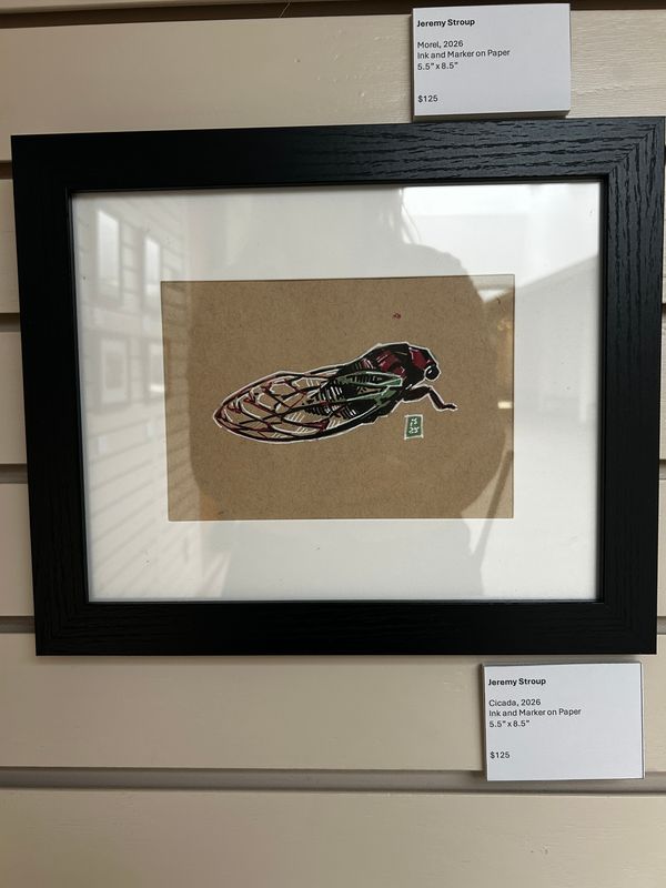 Cicada