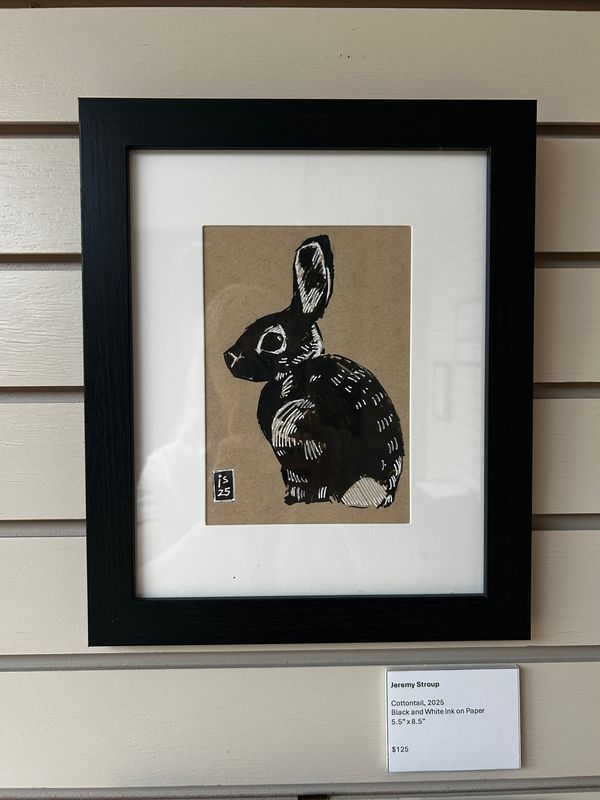 Cottontail
