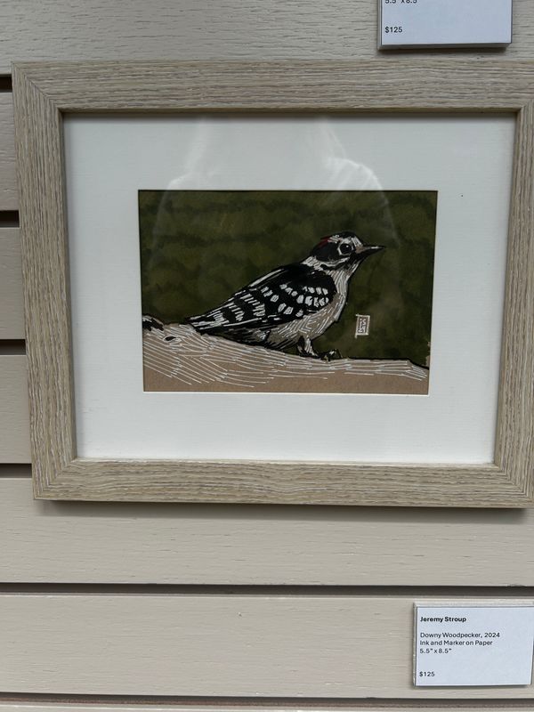 Downy Woodpecker