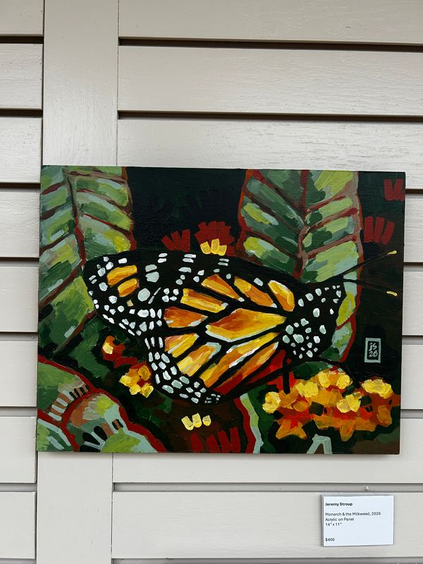 Monarch &amp; the Milkweed