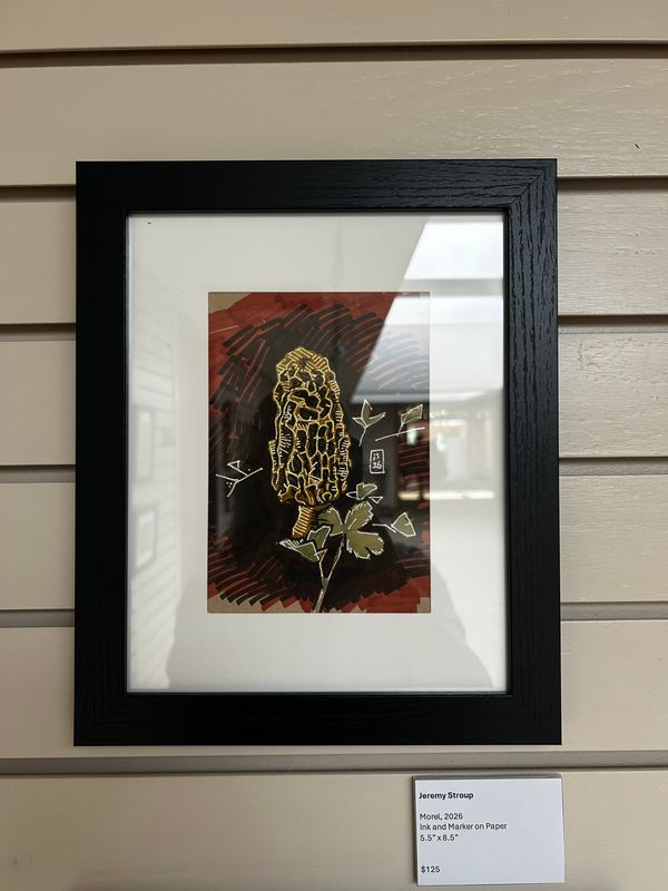 Morel
