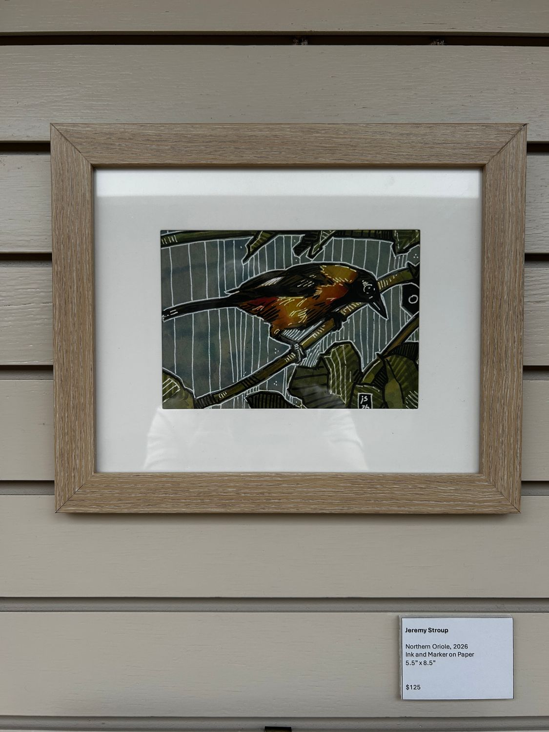 Northern Oriole Northern Oriole