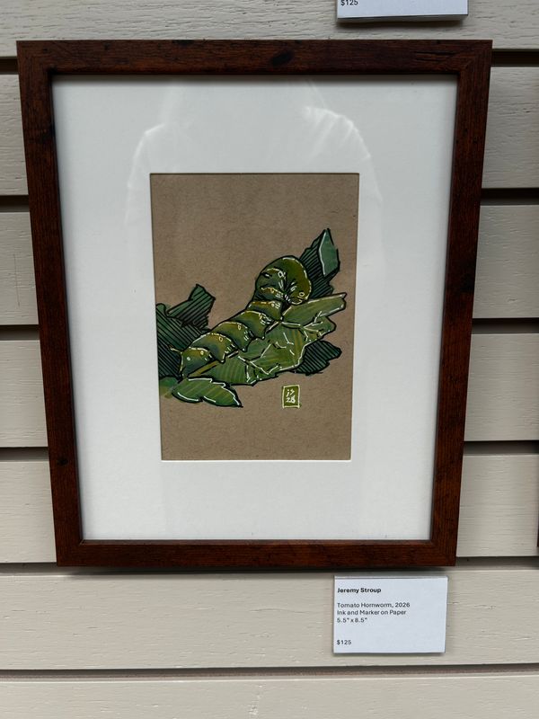 Tomato Hornworm