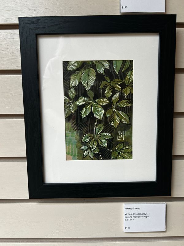 Virginia Creeper