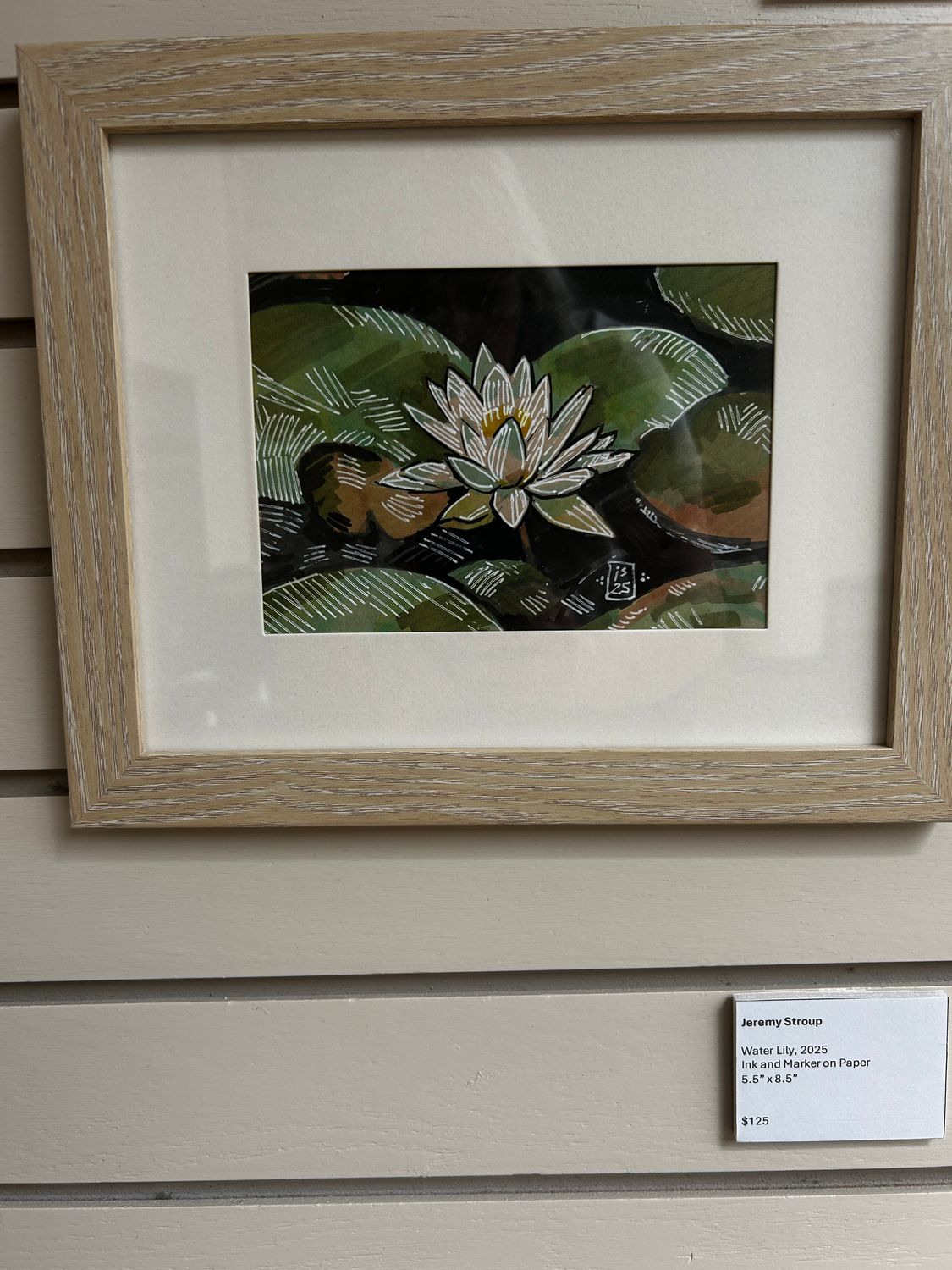 Water Lily