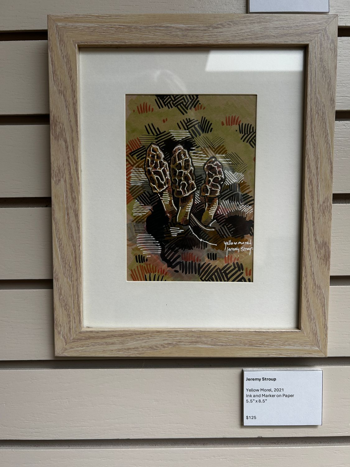 Yellow Morel