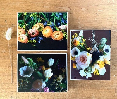 Blank Notecards