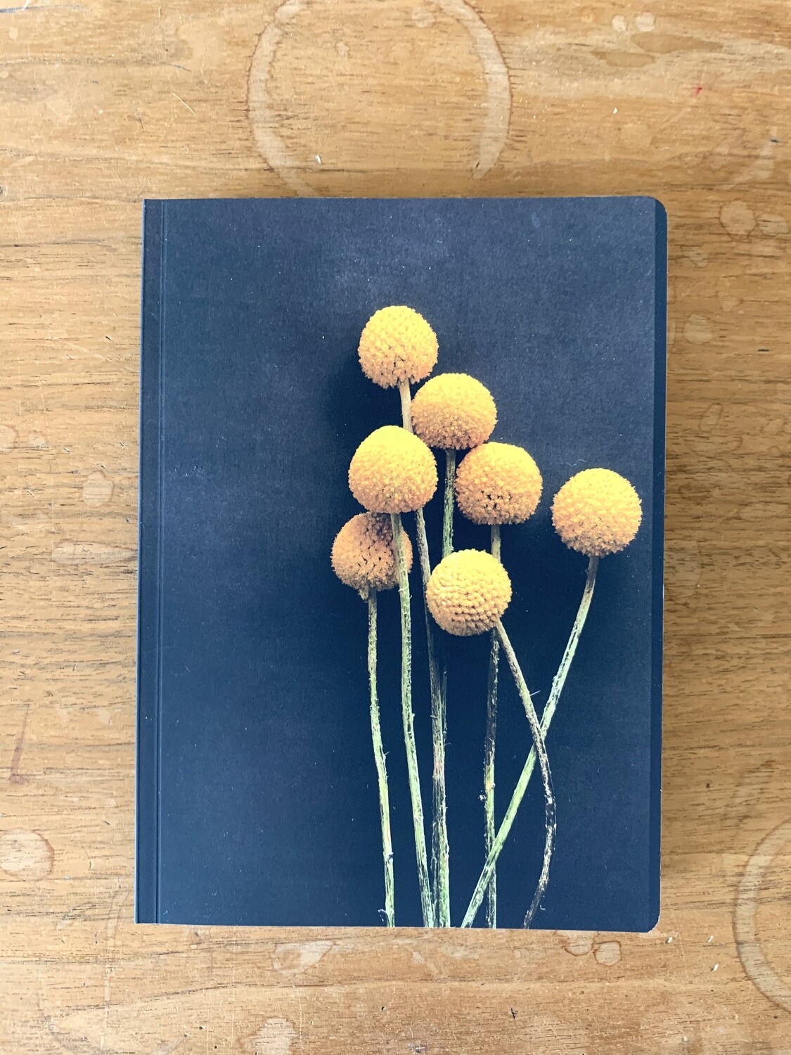 Single Softcover Journal