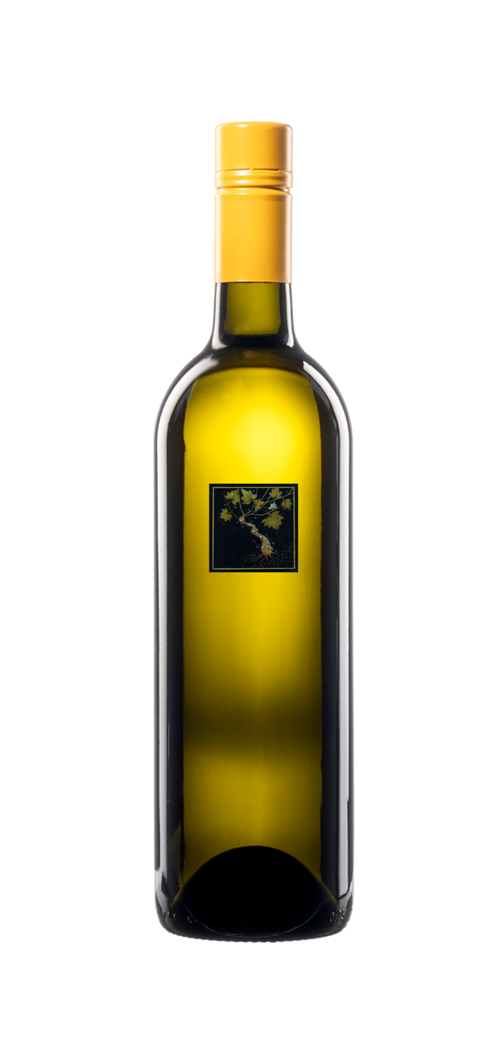 Cabernet blanc vin de pays 2022