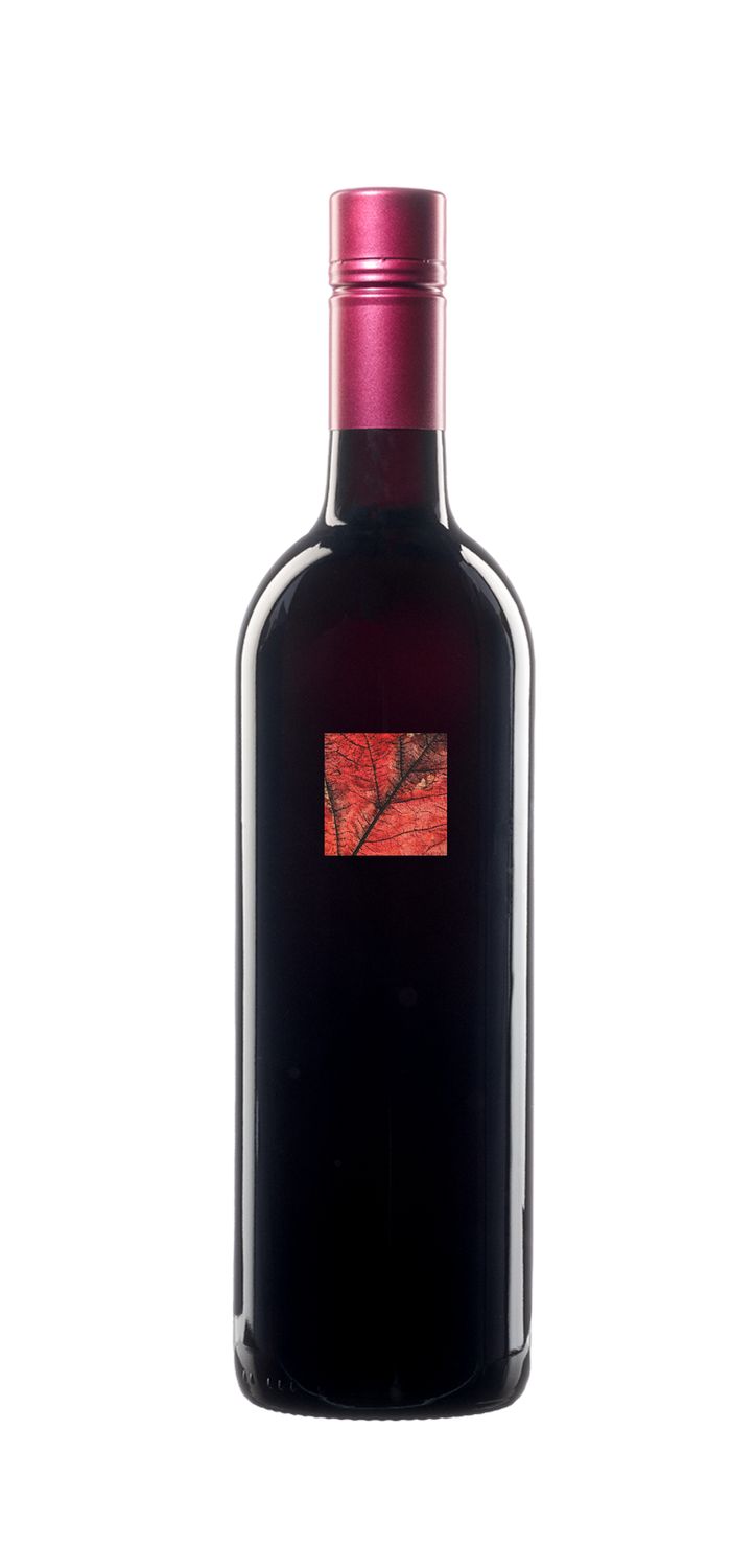 Gamay 2024