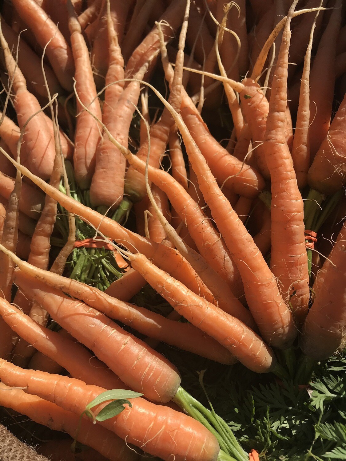 Carrots Carrots