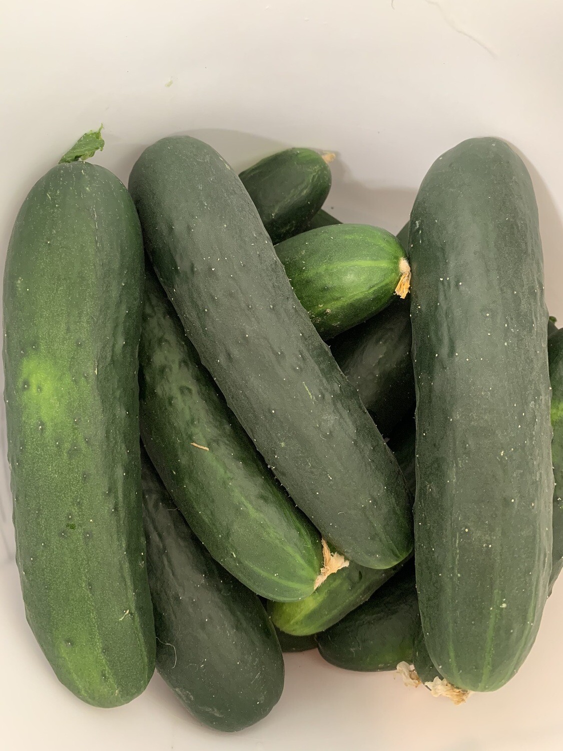 Cucumber Cucumber
