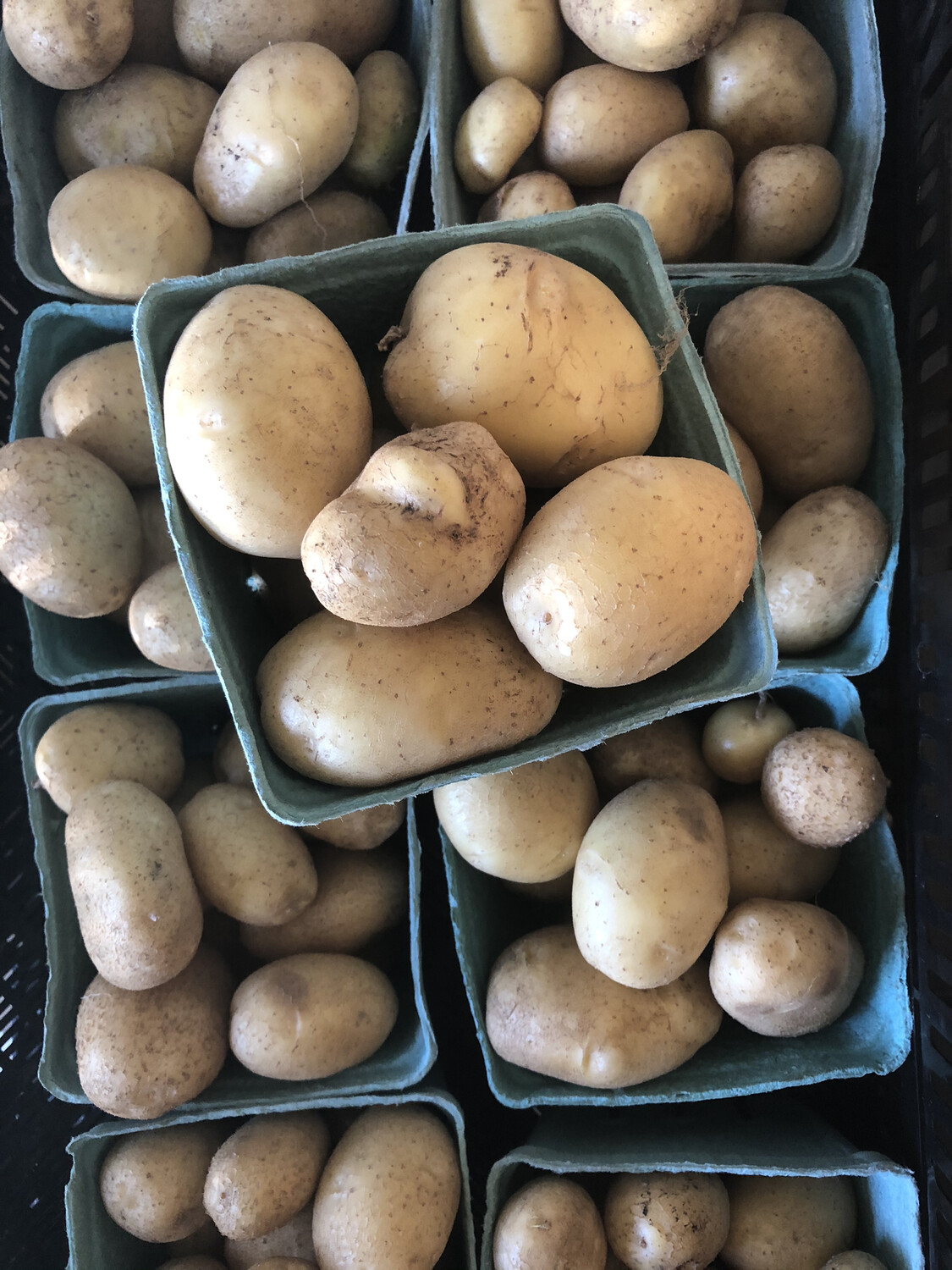 New Potatoes New Potatoes