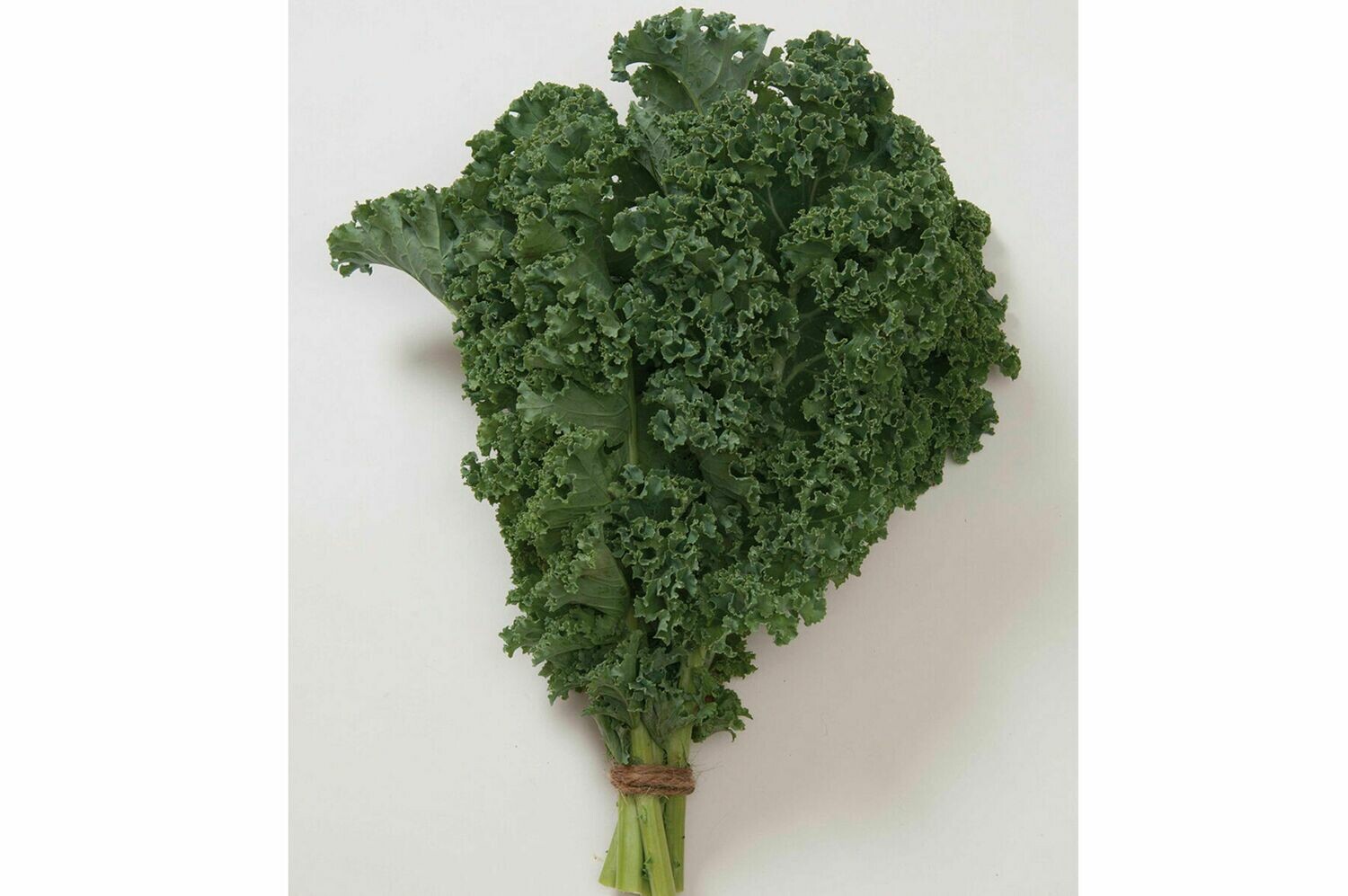 Kale, Curly, 4 pack Kale, Curly, 4 pack