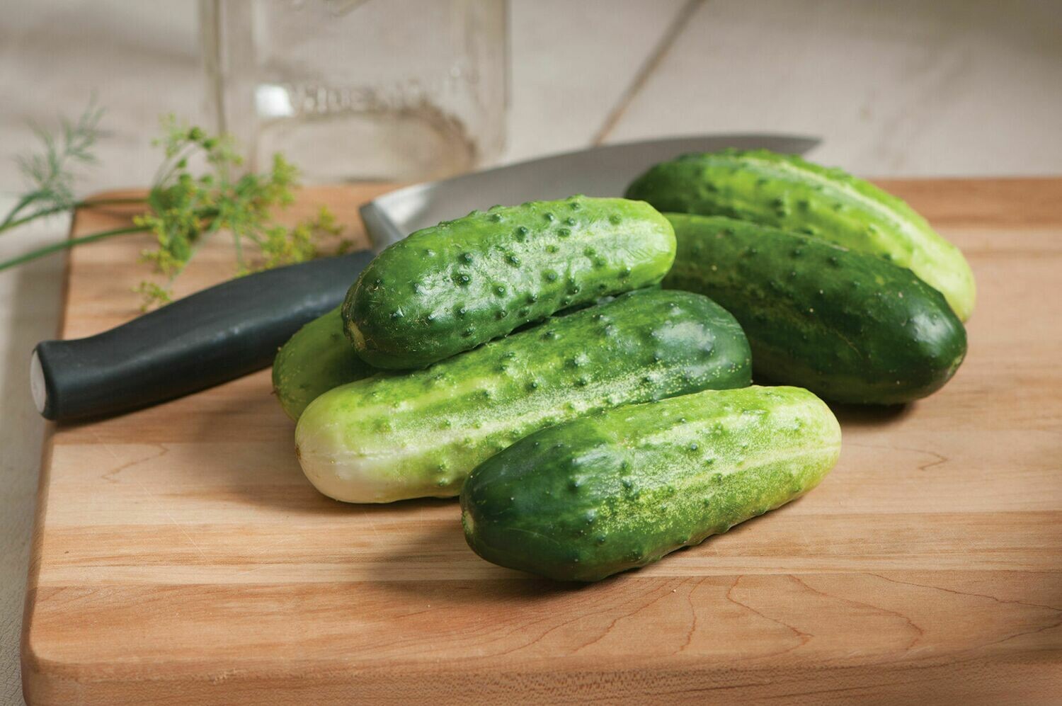 Cucumbers, Pickling, single Cucumbers, Pickling, single