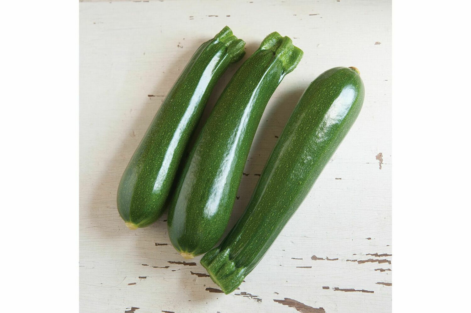 Zucchini, plant Zucchini, plant