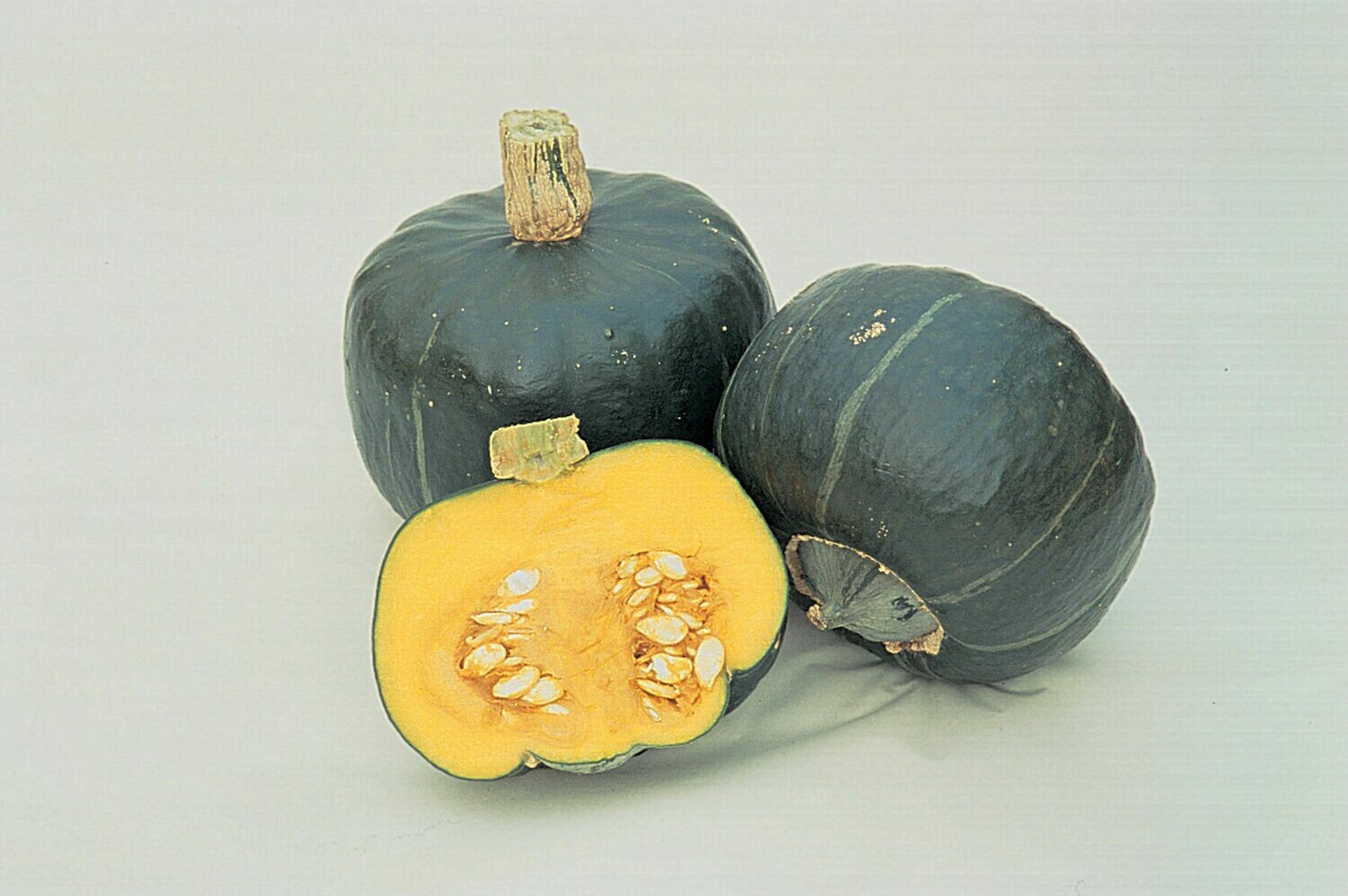 Squash, Buttercup, plant Squash, Buttercup, plant