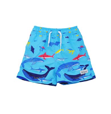 Flap happy  SPF 50+ /Wesley Swim Trunks with mesh liner-Ocean Fiesta