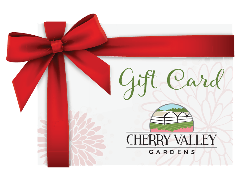CVG Gift Card
