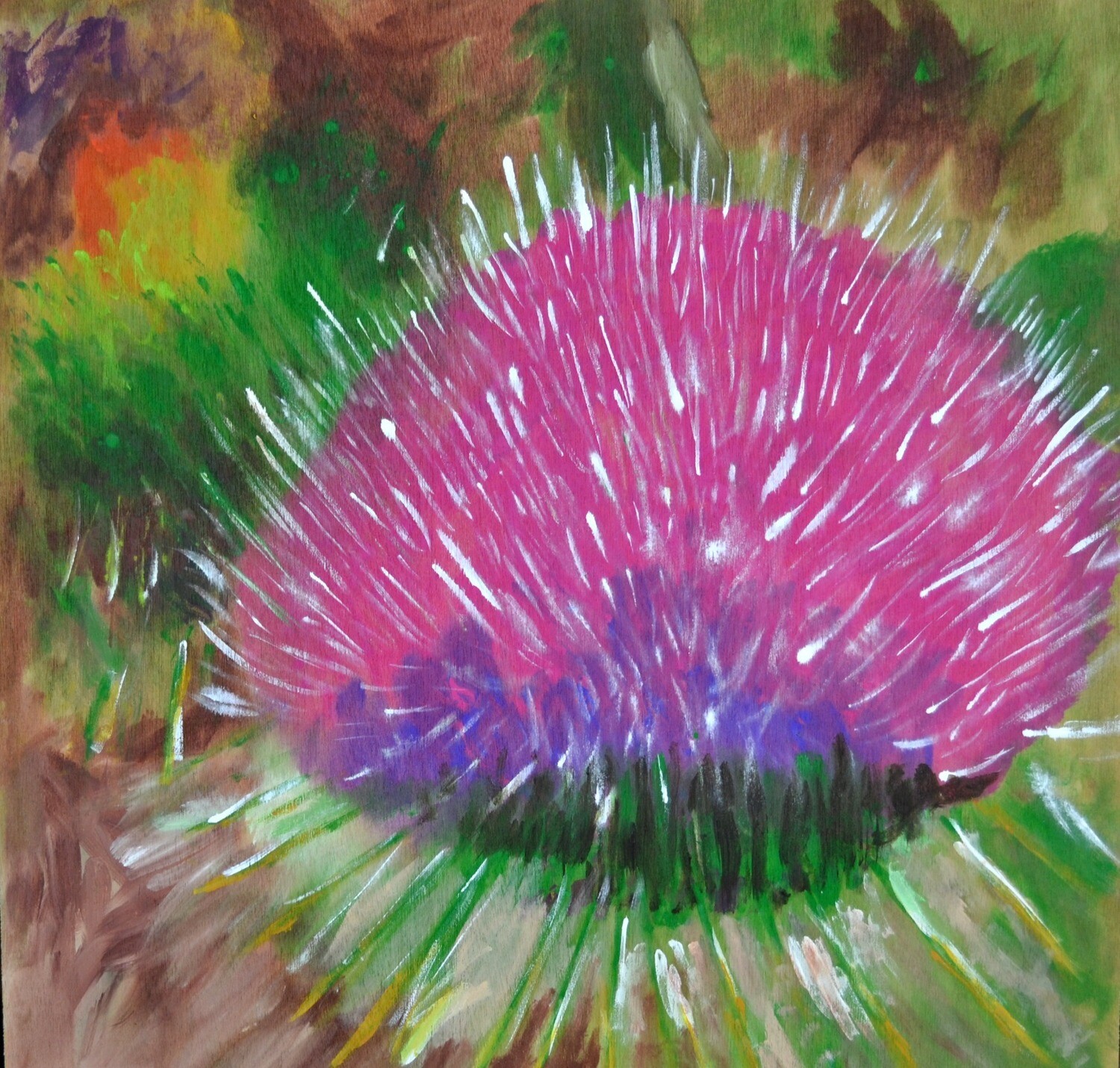 Pink Thistle