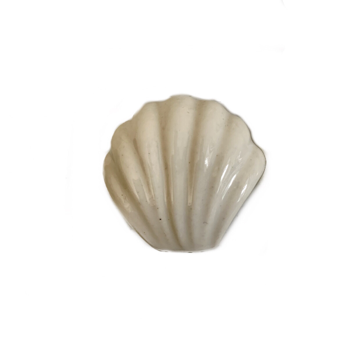 Ceramic Sea Shell Knobs 16A