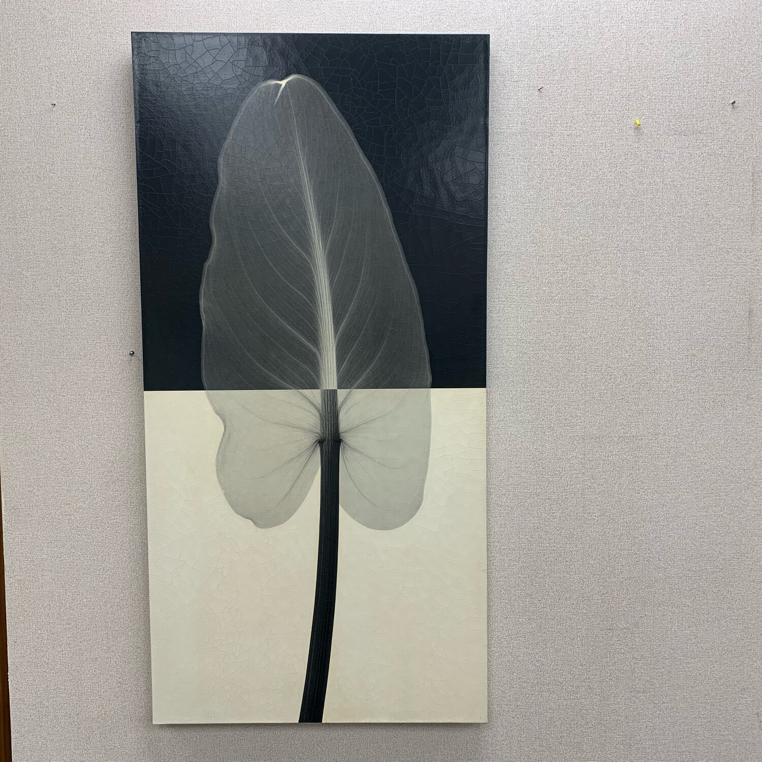 Calla Leaf ll By Steven M. Wrapped Canvas