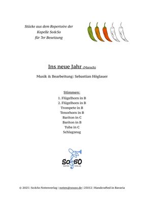 Ins neue Jahr (Marsch) - 7er Besetzung Ins neue Jahr (Marsch) - 7er Besetzung