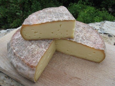 Saint Nectaire Cheese