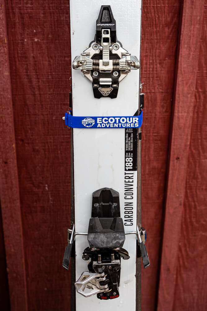 EcoTour Adventures Accessory and Ski Strap (20") Blue