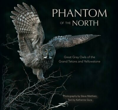 Phantom of the North: Great Gray Owls of the Tetons and Yellowstone Hardcover - Signed Copy