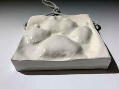 ​Grand Teton Wolf Track by ETA Naturalist Tenley Thompson