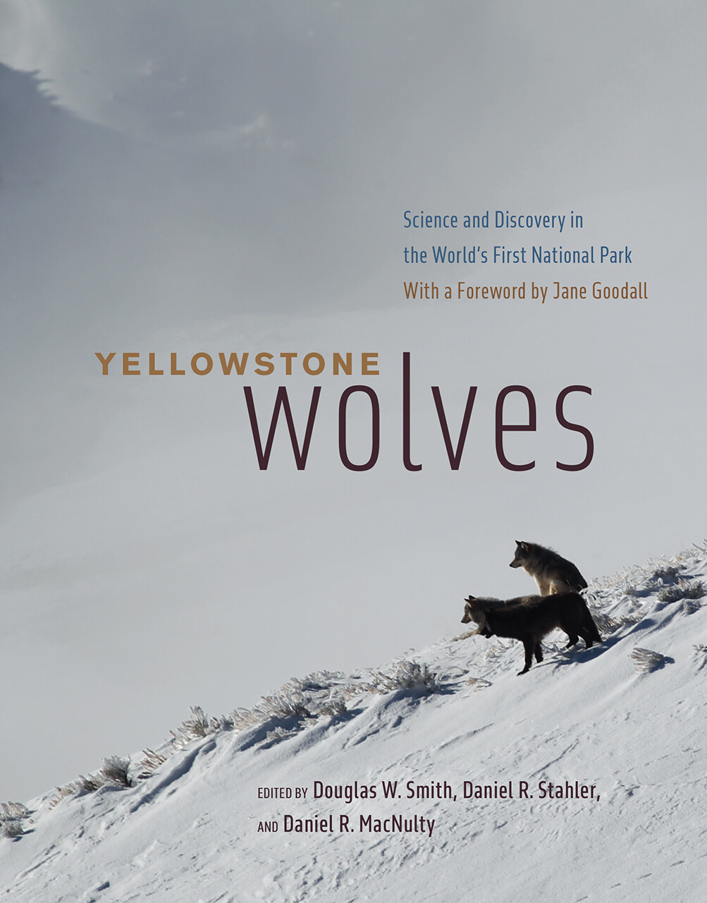 Yellowstone Wolves - Science and Discovery in the World's First National Park