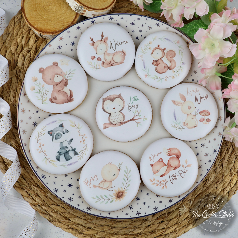 EIGEN Foto / illustratie koekjes 25 stuks
