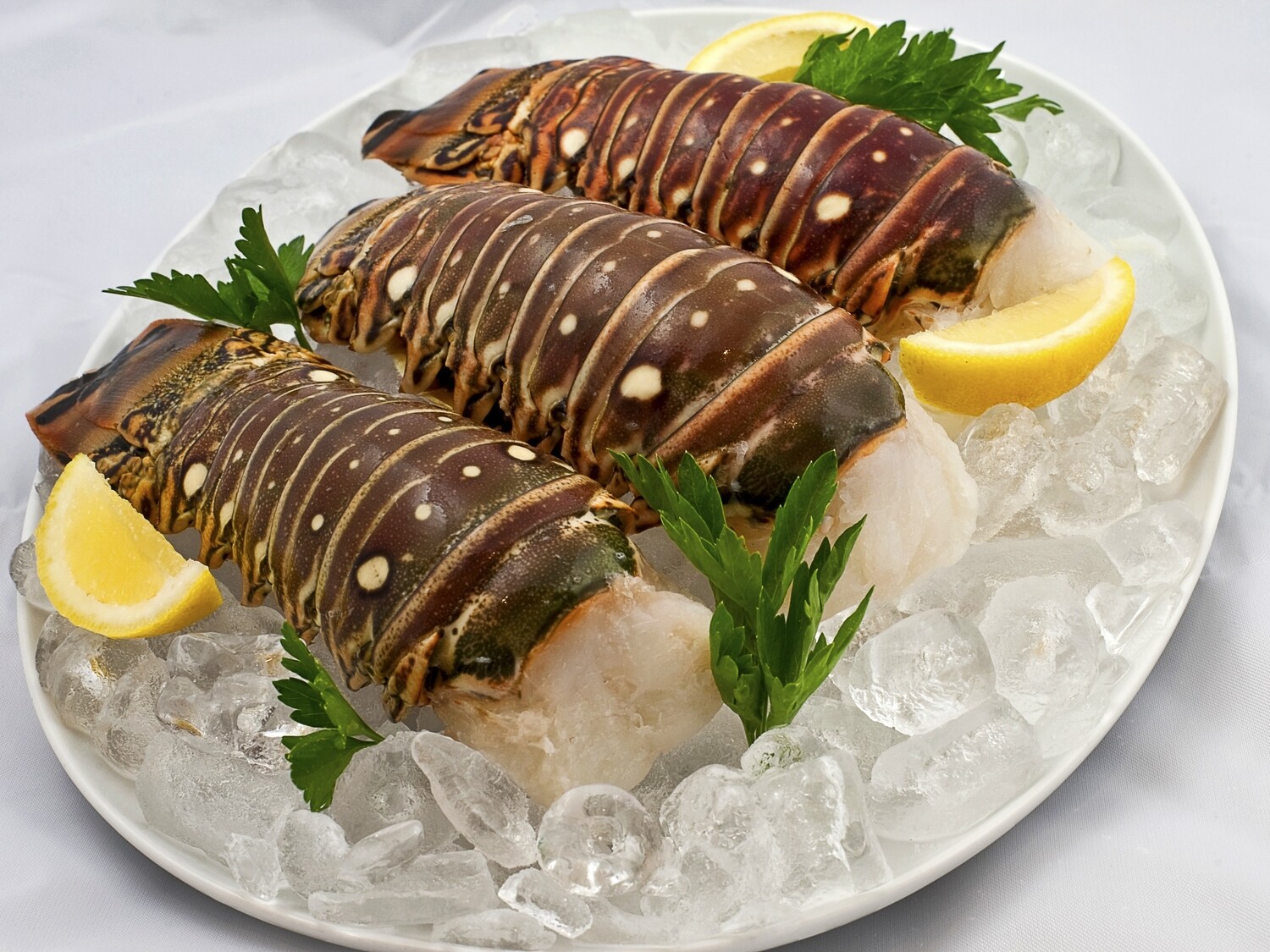 8oz Jumbo Brazilian Lobster Tails (Sold in 2PK)
