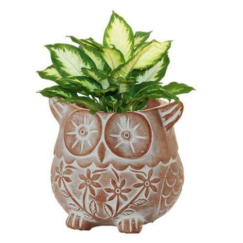 Owl Terracotta Planter