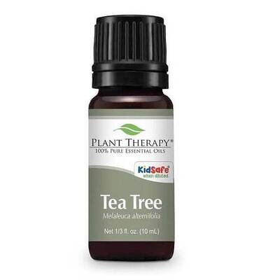 Tea Tree Essential Oil