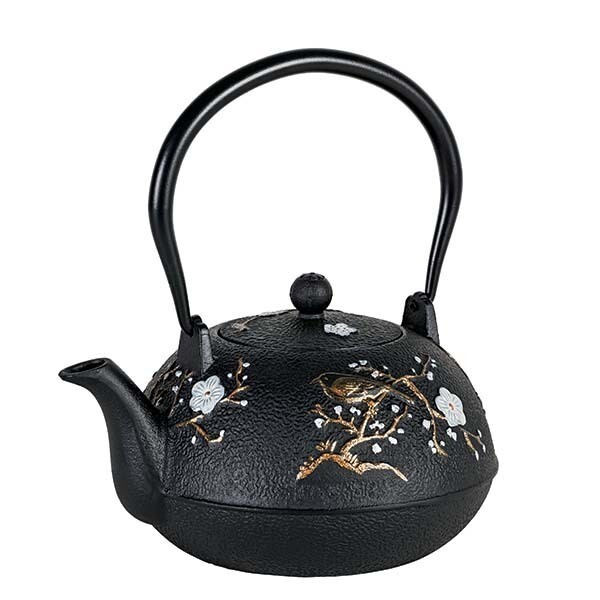 AVANTI - Blossom Cast Iron Teapot 1.1L
