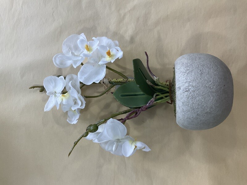 LIFE BOTANIC - Faux Potted  Orchid 26cm(H)
