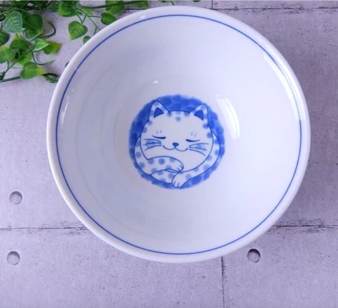 CONCEPT JAPAN Spotty Cat Bowl - Dimensions (approx.): 19.3cm (W) x 8.5cm (H)