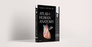 Netter&#39;s Atlas of Human Anatomy A5