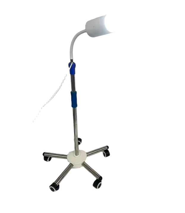 Examination Light