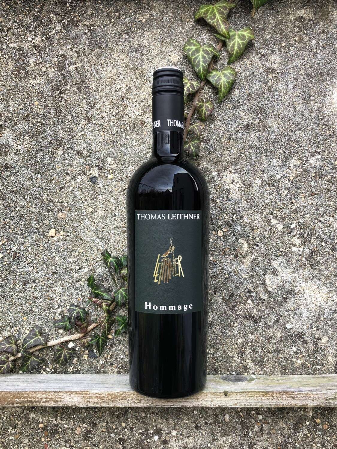 Zweigelt Hommage 2015