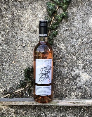 Zweigelt Rosé 2023