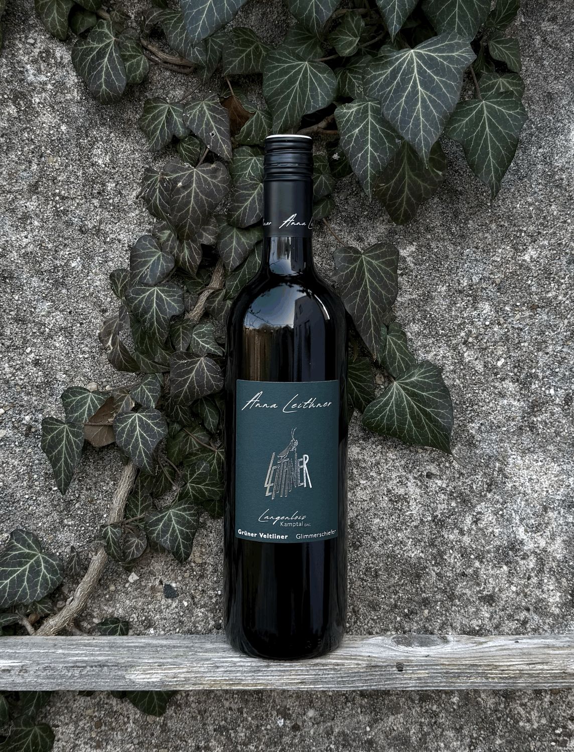 Grüner Veltliner Langenlois Glimmerschiefer 2025