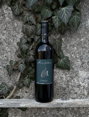 Grüner Veltliner Langenlois Glimmerschiefer 2025