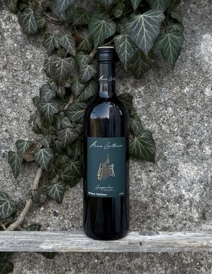 Grüner Veltliner Langenlois Loess 2025