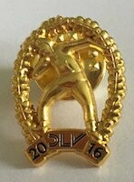 Mehrkampfabzeichen 2025 - Metallabzeichen GOLD