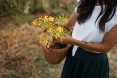 Seminario- come affrontare il cambio di stagione con le piante officinali